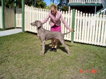 Click to Enlarge - Baby in Show: KISMANER PROTOTYPE II