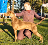 Click to Enlarge - Puppy In Show: KADMA LIES AND INUENDOS