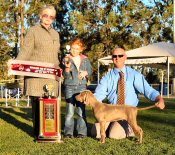 Click to Enlarge - Baby in Show: Kadma Fast N Furious